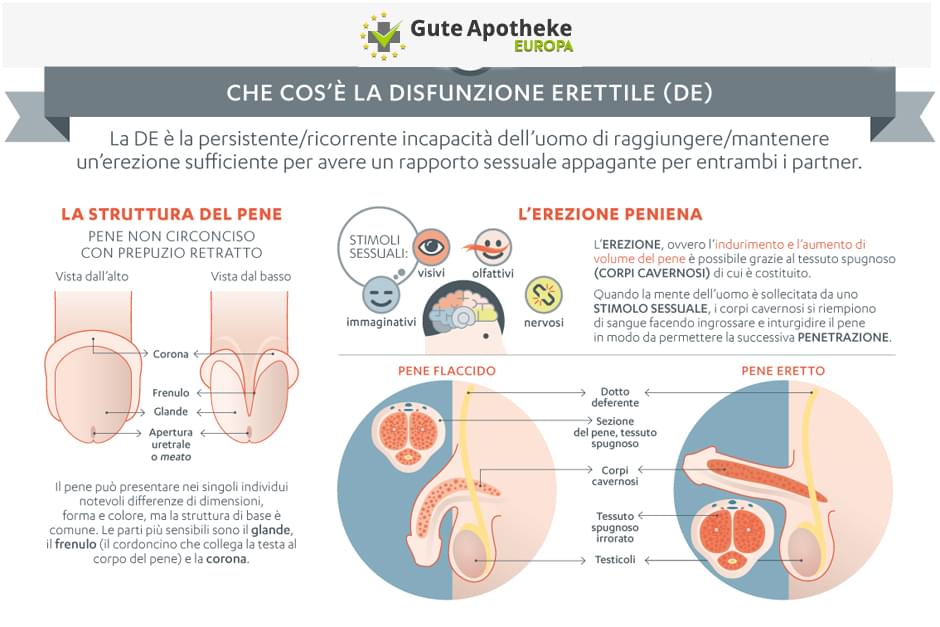 Disfunzione Erettile