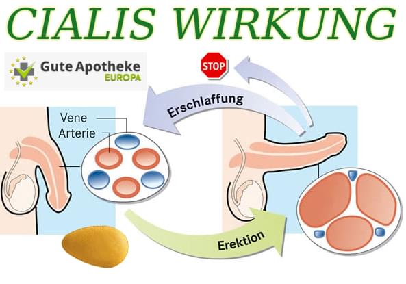 Volkseigen das Mittel des Hebens der Potenz