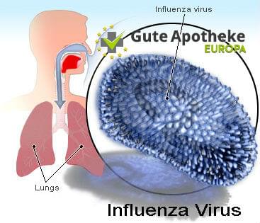 Influenza