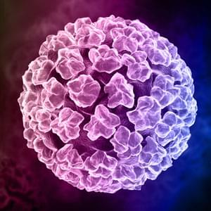Papillomavirus HPV