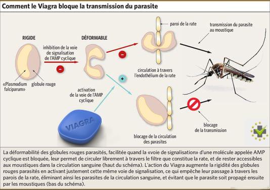 Acheter En Ligne La Marque Sildenafil Citrate