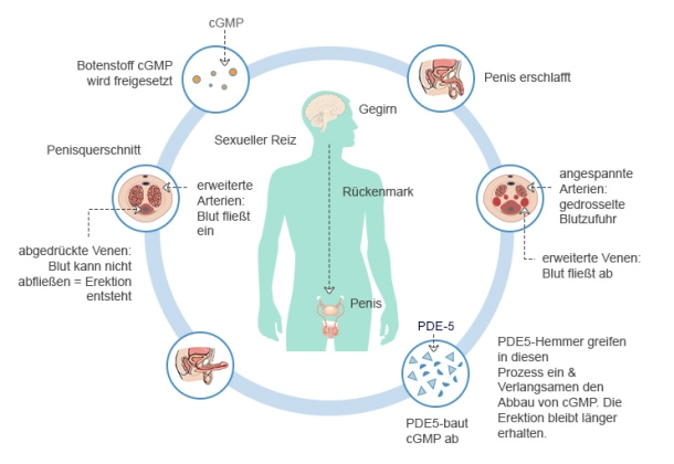behandlung erektilen dysfunktion