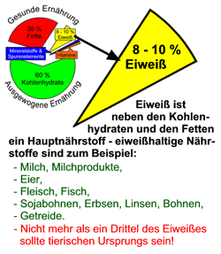 Eiweiß - Proteine - Aminosäuren?