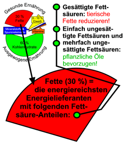 Fette - Lipide - Fettstoffwechsel