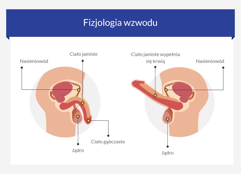 Impotencja - leki na potencję