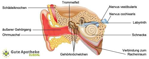 Ohrenentzündung