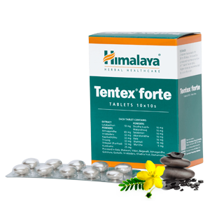 Tentex Forte kaufen