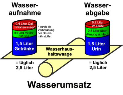 Die Wasserhaushalts-Waage